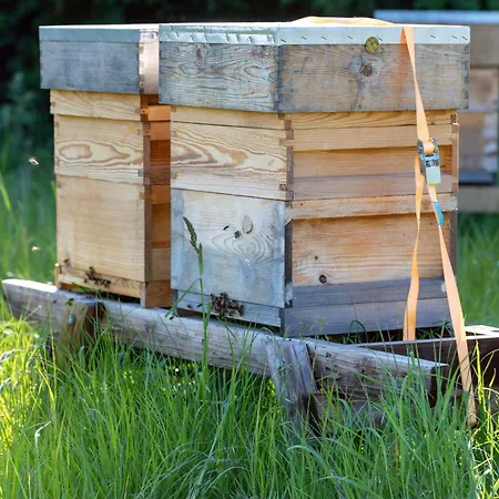 Hidden Acres- With Double & Single Bed, 3* Малахайд