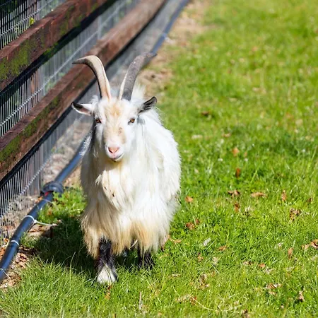 게스트하우스 Hidden Acres- With Double & Single Bed, 말라하이드