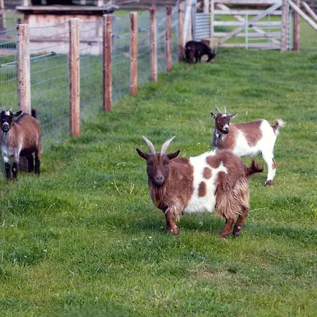 게스트하우스 Hidden Acres- With Double & Single Bed,