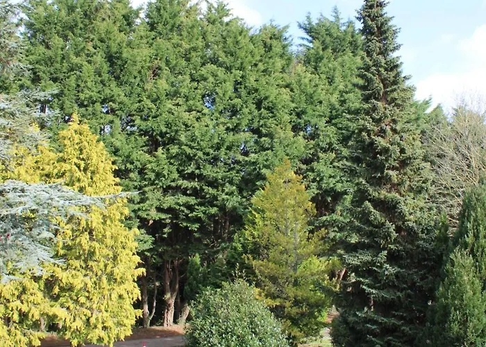 Hidden Acres- With Double & Single Bed, Malahide