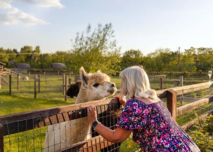 Hidden Acres- With Double & Single Bed, Malahide