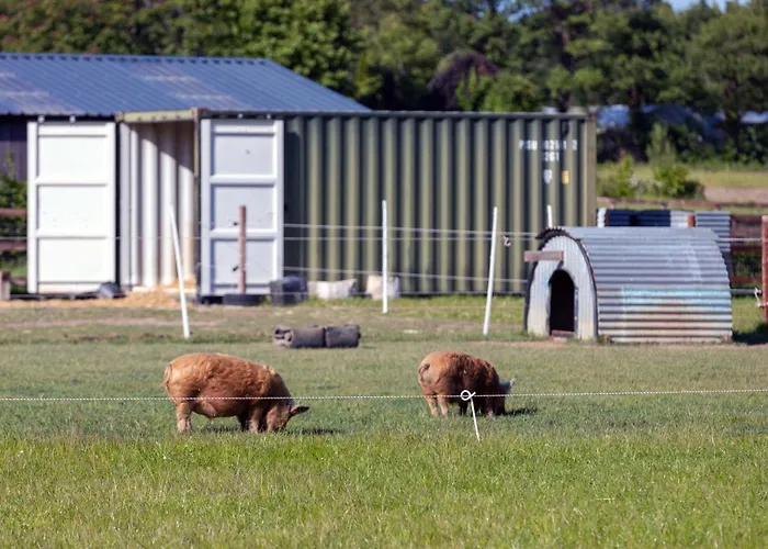 Hidden Acres- With Double & Single Bed, 3* Malahide