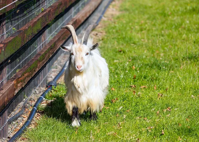 Guest house Hidden Acres- With Double & Single Bed, Malahide