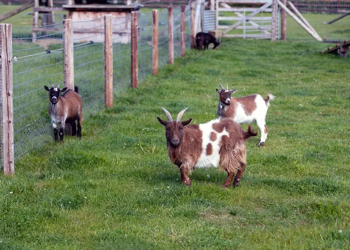 Guest house Hidden Acres- With Double & Single Bed,