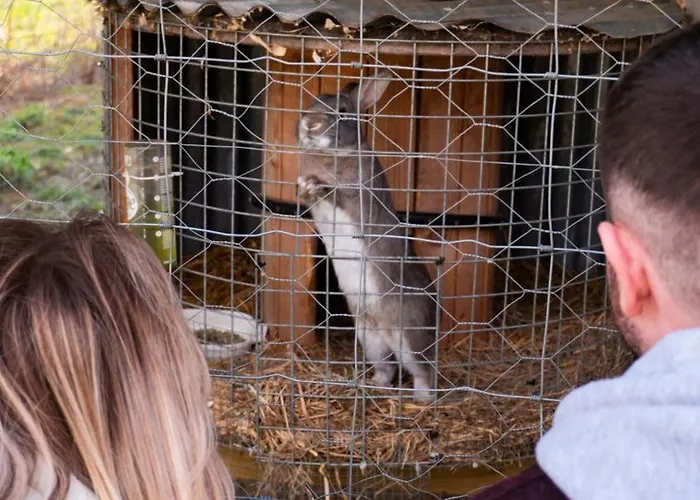 Hidden Acres- With Double & Single Bed, 3*